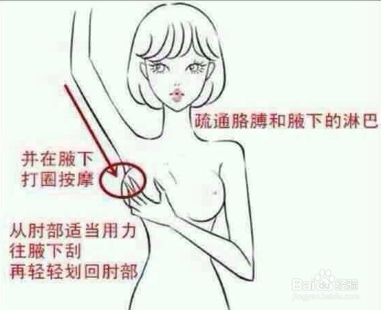 相见恨晚的美容丰胸养生小妙招