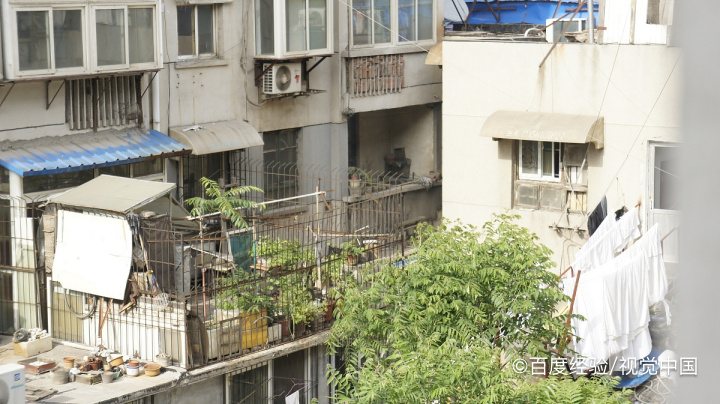 如何防鸟在阳台拉屎