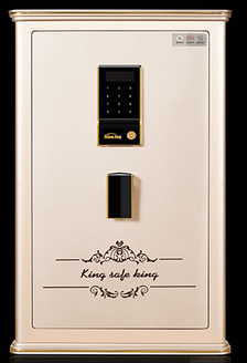 共享电子保险箱常见问题及解决方法