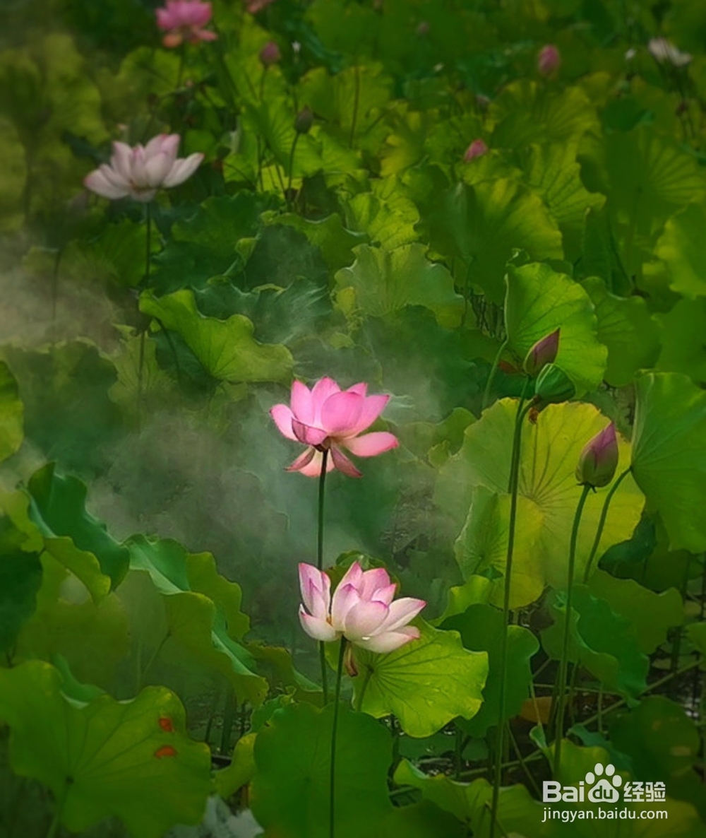 怎样通过谈话技巧说服对方？
