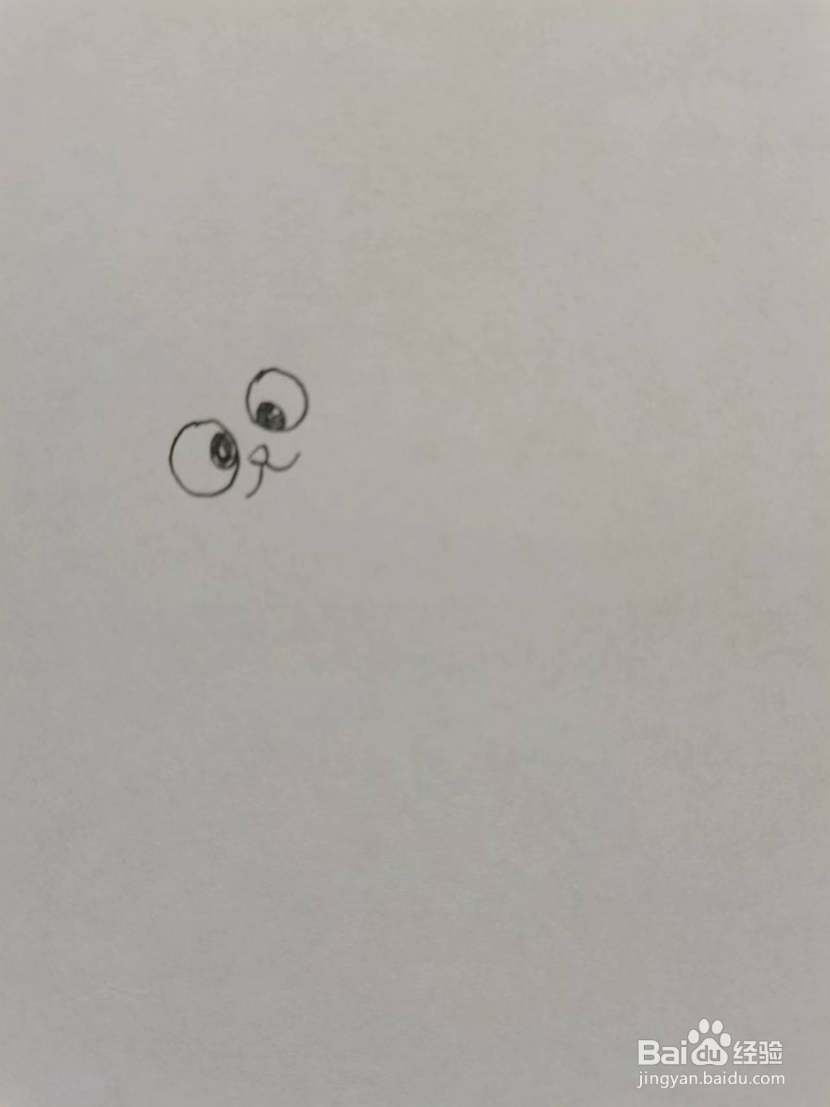 手绘简单的肥猫