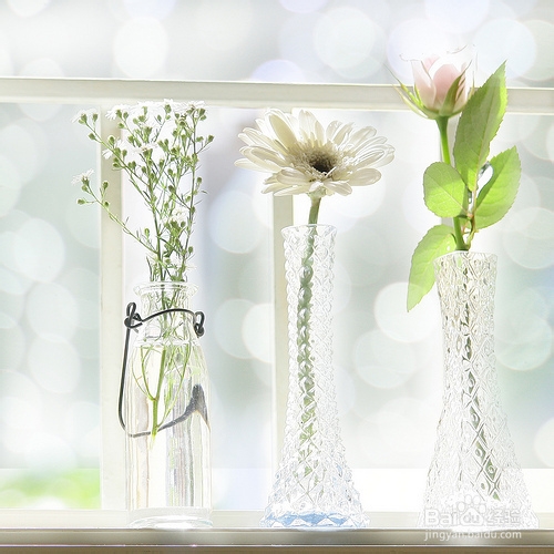 治疗乳腺纤维瘤吃什么好“找”回健康乳房