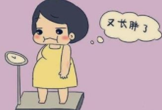 肥胖的主要原因