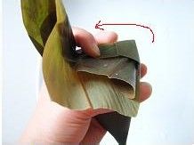 粽叶飘香端午情