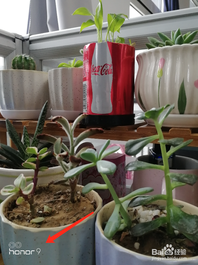 华为荣耀9拍照如何添加水印