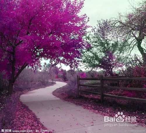 旅游最应该该注意什么
