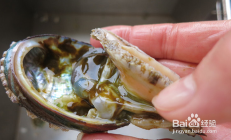 清蒸鲍鱼怎么做