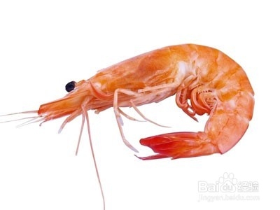 秋季怎样预防痛风