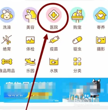 狗狗拉血还吐不吃东西怎么办