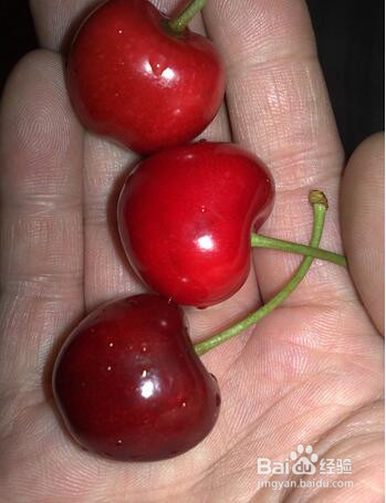 买樱桃时这样才能挑到好吃的