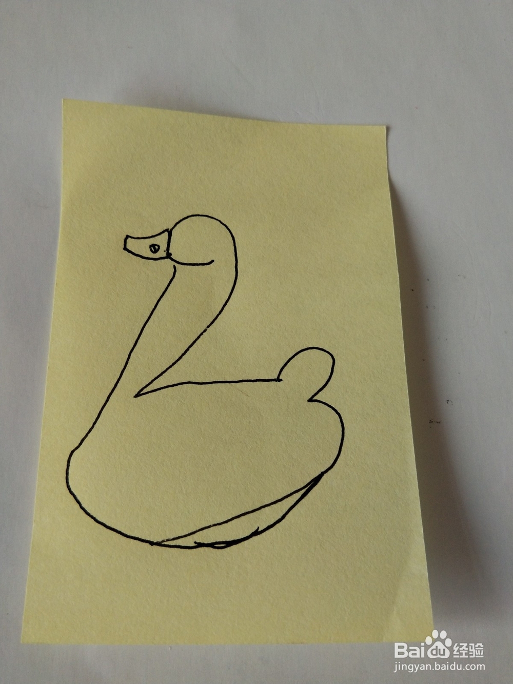 天鹅的简笔画这样画
