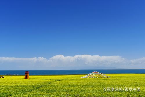 青海湖五日遊攻略