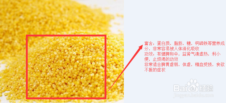 吃了很多种米，你知道它们的功效吗