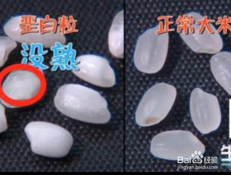 如何鉴别大米好坏