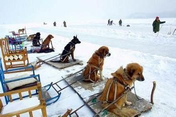 哈尔滨到亚布力滑雪指南