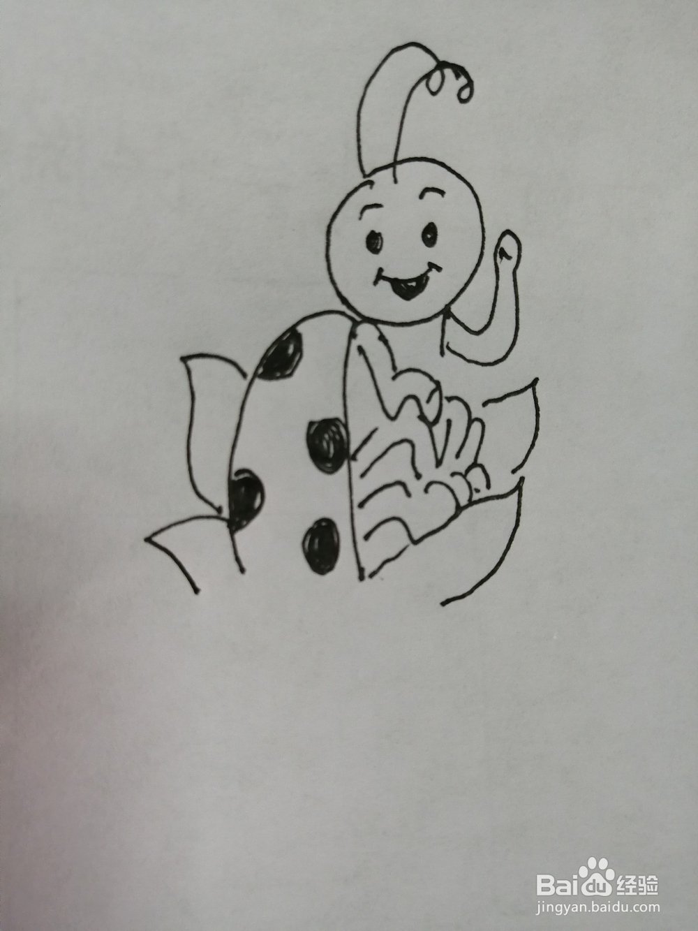 可爱的小瓢虫怎么画