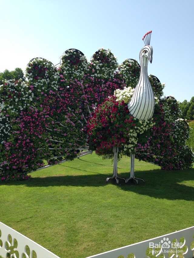 沿途的风景在我的镜头里,更在我心里 迪拜篇