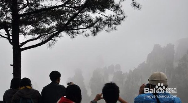 株洲到张家界自驾游景色大全