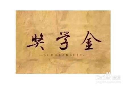 获奖情况怎么编举例子