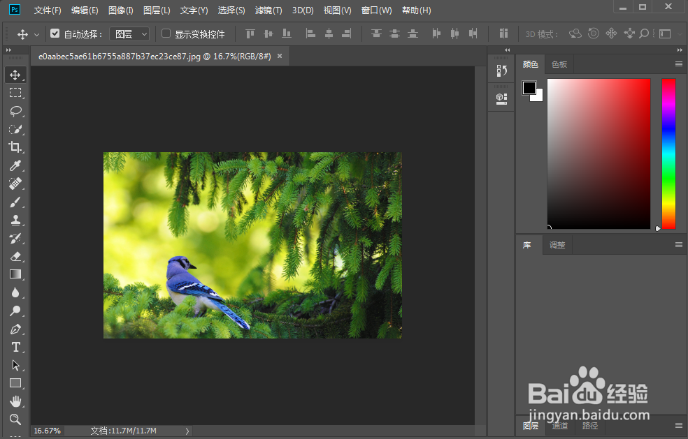 ps怎么添加图片