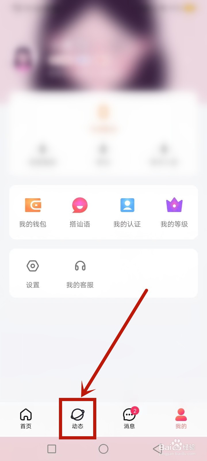 蜜柚买了vip怎么看