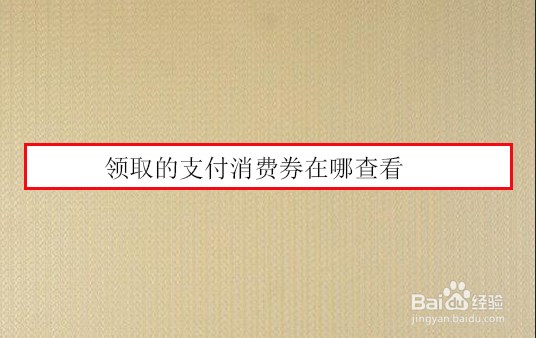 领取的支付消费券在哪查看