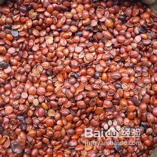 中医治疗失眠偏方