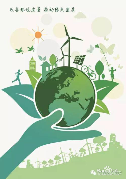 学生们怎么去保护湿地