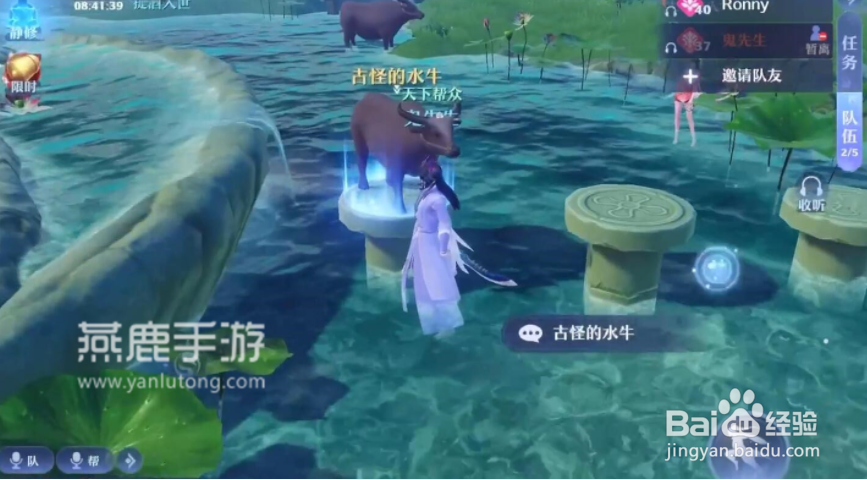 梦幻新诛仙怕水的小水牛位置