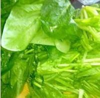 上汤菠菜的做法