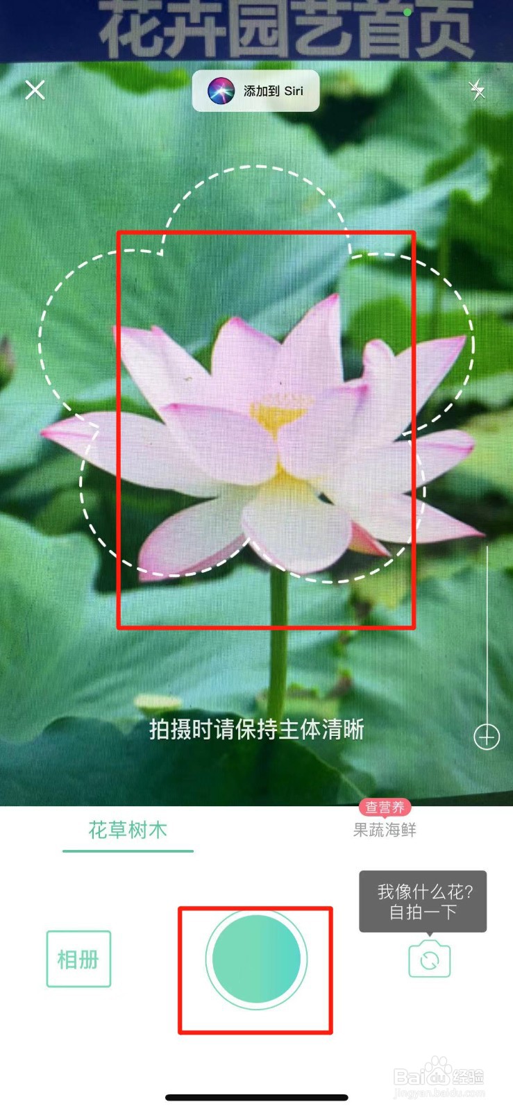 形色怎样识别花