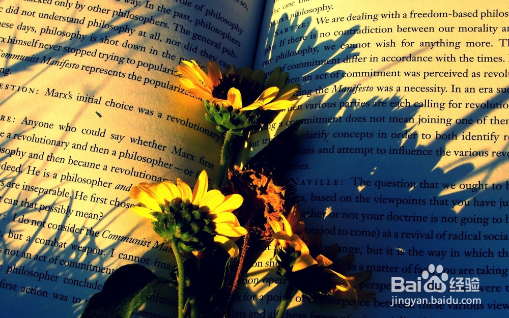 怎样从中文角度学习英语