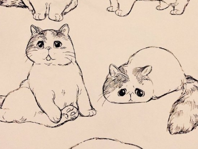 赵字开头的四字成语