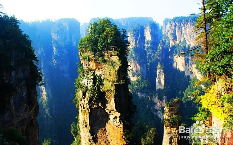 张家界自助游跟团