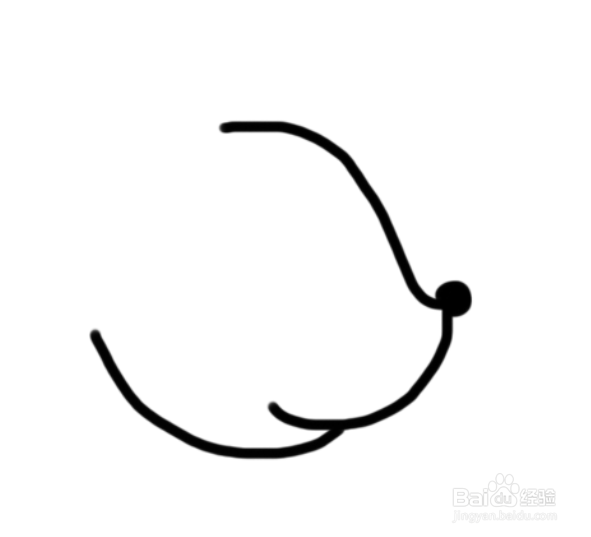 动物简笔画：梅花鹿