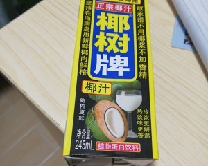 椰奶芒果布丁