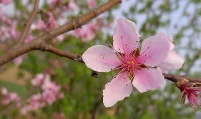 春分----抓住调整运气的好时机