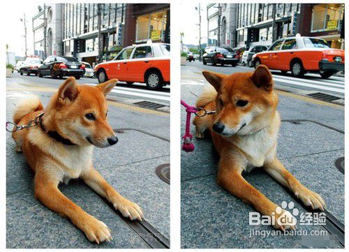 减少失焦用小相机也能轻松拍好每张照片