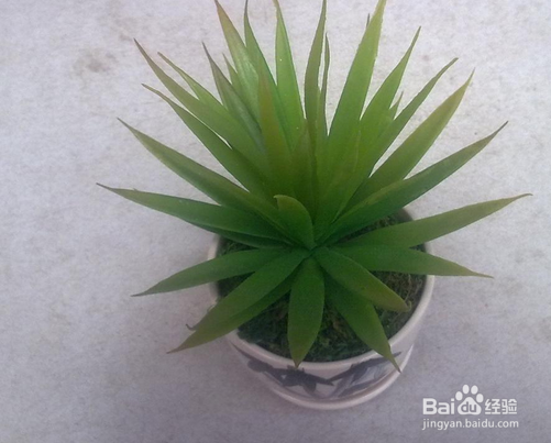 茶叶渣的生活妙用常识