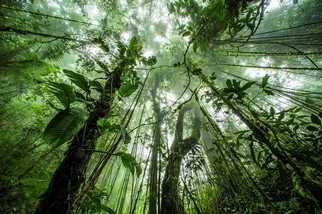 如何成为国家地理摄影师