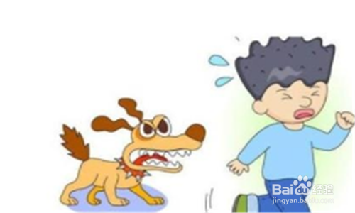 一周岁的小孩被自家的小狗咬了怎么办