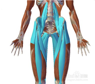 想瘦肚子 教练推荐了这个体式 可是练完大腿累