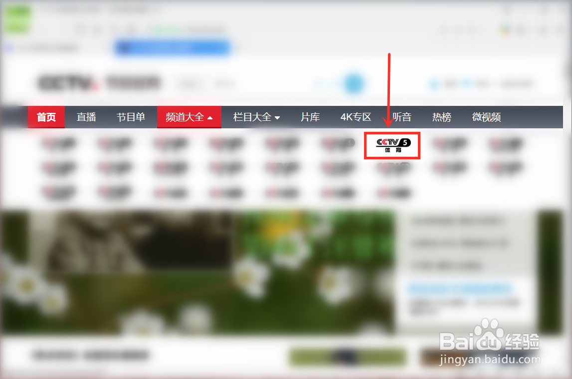 2021第十四届全运会开幕式直播入口