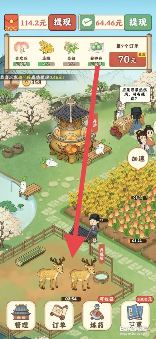 杏林世家如何养殖小鹿