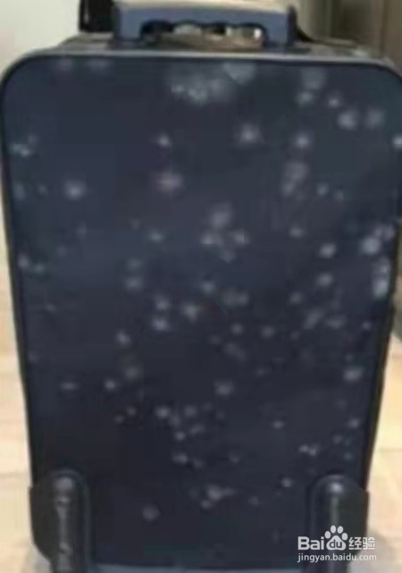 牛津布包发霉怎么处理,即使潮湿也不再长霉