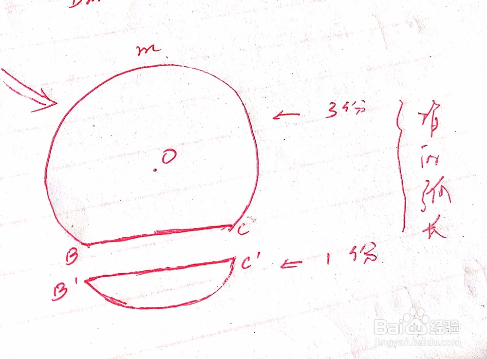 如何应用弧长与度数的关系