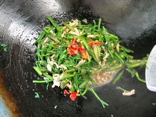 野生水芹炒肉丝