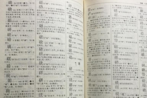 字典里为什么没有他字