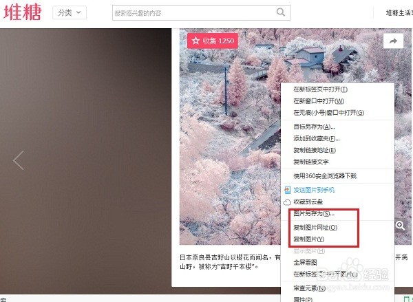 怎么将网页上的图片保存下载到电脑