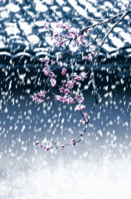 制作雪花飞舞的逼真场景